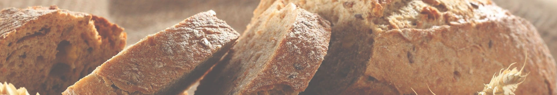 Su socio de confianza en equipos para el procesamiento de alimentos