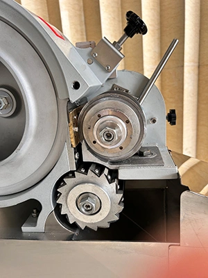 Cortadora de verduras en cubos (300-800 kg/h)