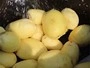 Peladora de papas / patatas